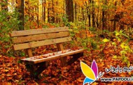 عکس: معجزه پاییز + اشعار پاییزی
