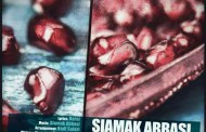 دانلود آهنگ جدید سیامک عباسی بانام شبی خوش (حافظ)