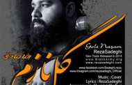 دانلود آهنگ دلنشین 