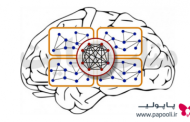 مبانی نظری مدل سازی هوشمند (GMDH، شبکه عصبی فازی و شبکه عصبی پرسپترون)